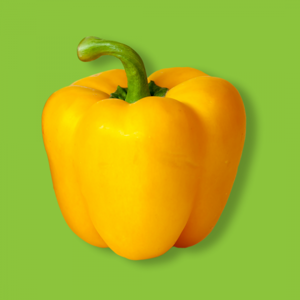 poivron jaune
