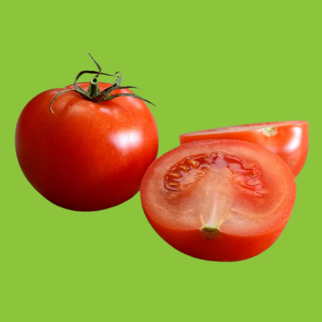 Tomate Paola