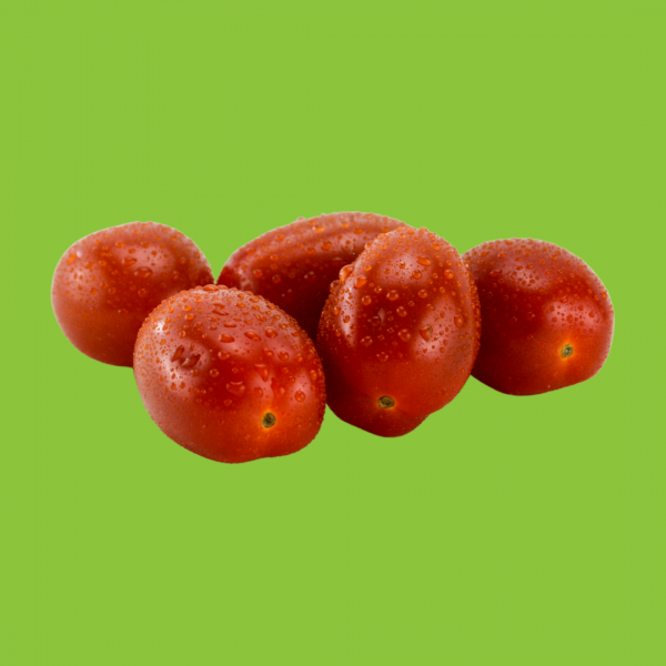 tomate allongée