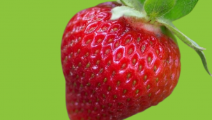 Fraises Anaïs