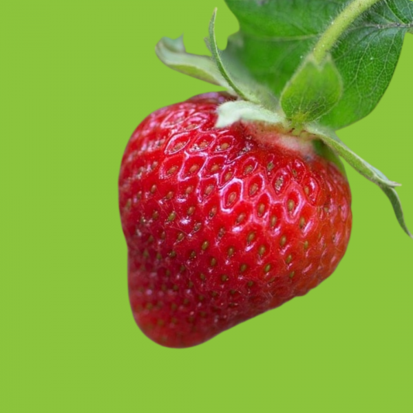 fraises anais
