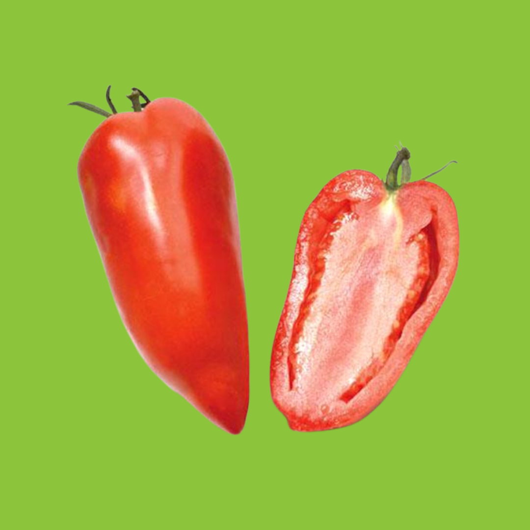 Tomate Andine Cornue ou Tomate Poivron