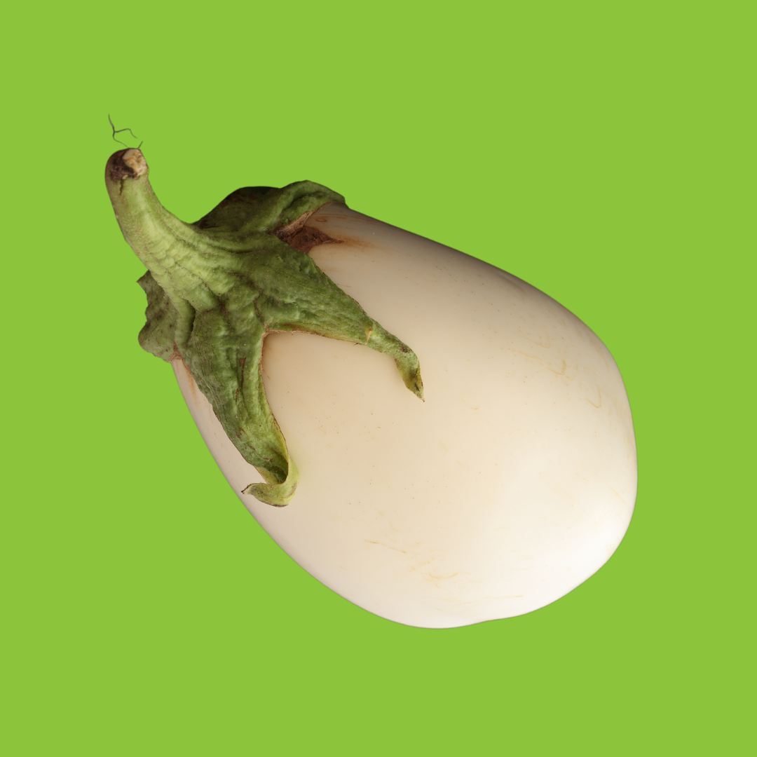 Aubergine Blanche