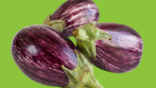Aubergine Striée