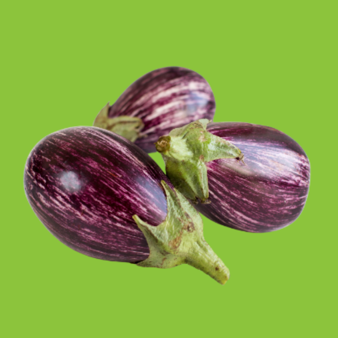 Aubergine Striée