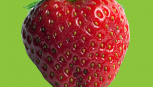 Fraises Charlotte