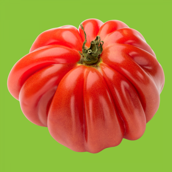 tomate coeur de boeuf