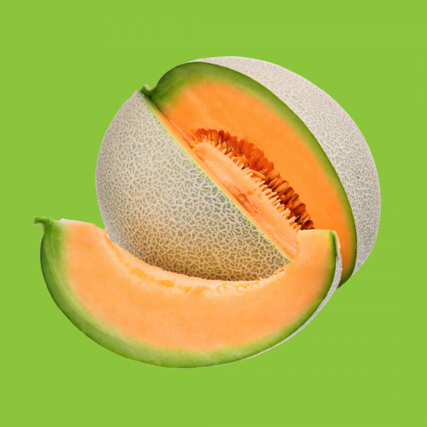 melon anasta
