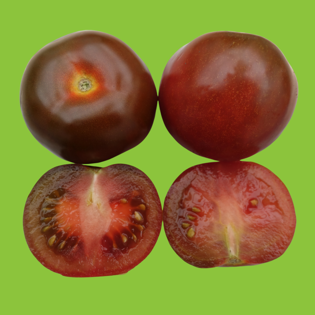 Tomate Noire de Crimée