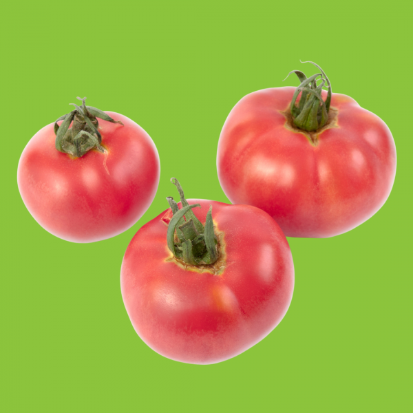 tomate rose de berne