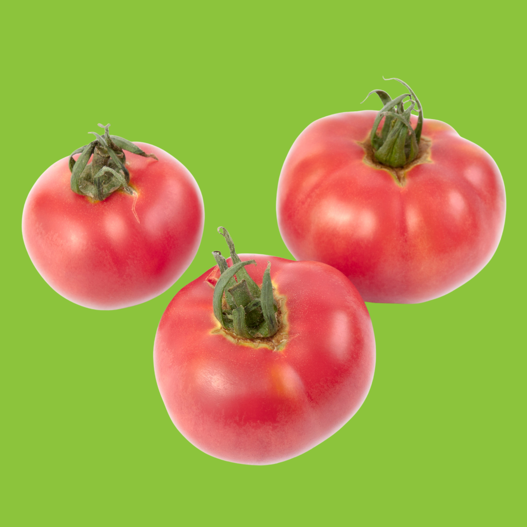 Tomate Rose de Berne